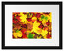 Herbstblätter Passepartout 38x30