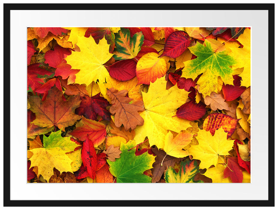 Herbstblätter Passepartout 80x60