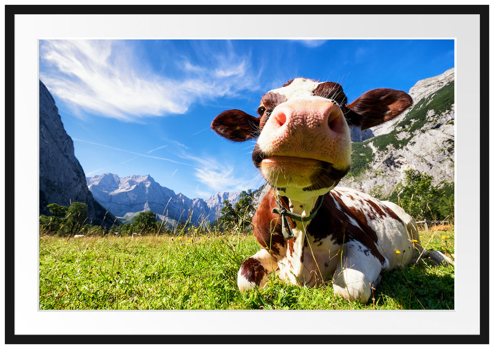 Pixxprint Kuh im Karwendelgebirge, im Galerie-Passepartout Bilderrahmen