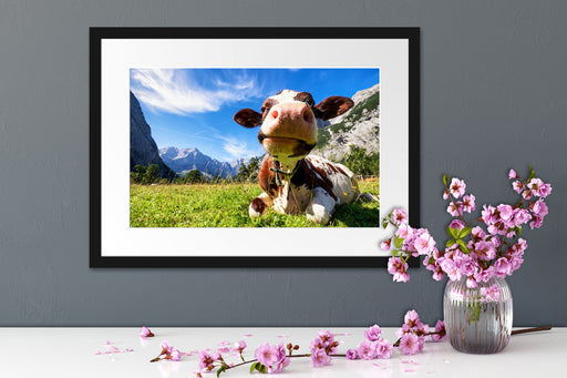 Kuh im Karwendelgebirge Passepartout Wohnzimmer
