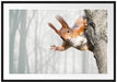 Neugierig rotes Eichhörnchen Passepartout 100x70