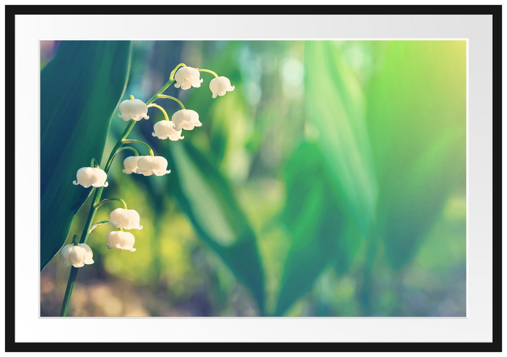 Pixxprint Blühende Maiglöckchen, im Galerie-Passepartout Bilderrahmen