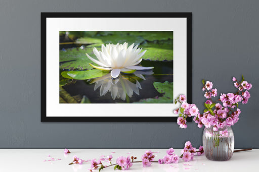 Weiße Lotusblume im Wasser Passepartout Wohnzimmer