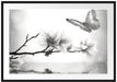 Schmetterling mit Magnolien-Blüte Passepartout 100x70
