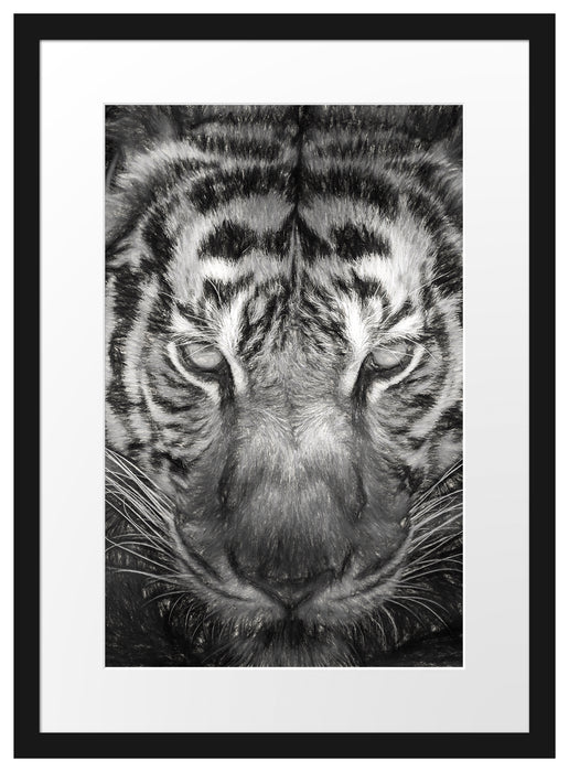 Tiger mit hellbraunen Augen Kunst Passepartout 55x40