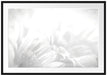 Gerbera-Blume Passepartout 100x70