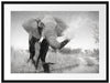Elefant spritzt mit Wasser Passepartout 80x60