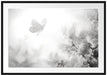 Schmetterling Kirschblüten Passepartout 100x70
