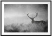 Rotwild Hirsch im Nebel Kunst Passepartout 100x70