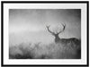 Rotwild Hirsch im Nebel Kunst Passepartout 80x60