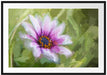 lilane Blume in der Natur Kunst Passepartout 100x70