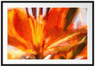 orange Lilie in Nahaufnahme Kunst Passepartout 100x70