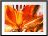 orange Lilie in Nahaufnahme Kunst Passepartout 80x60