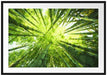 Grüner Bambus Kunst Passepartout 100x70