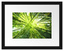 Grüner Bambus Kunst Passepartout 38x30