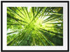 Grüner Bambus Kunst Passepartout 80x60