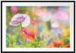 Kalifornischer Mohn im Frühling Passepartout 100x70