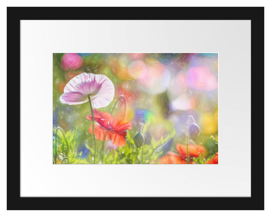 Kalifornischer Mohn im Frühling Passepartout 38x30