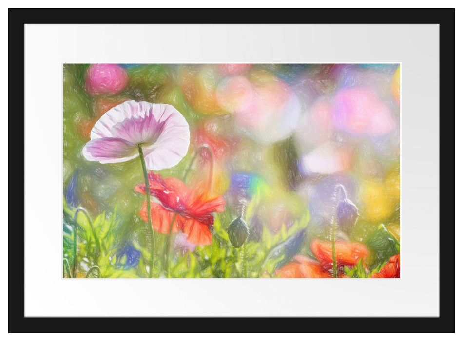 Kalifornischer Mohn im Frühling Passepartout 55x40