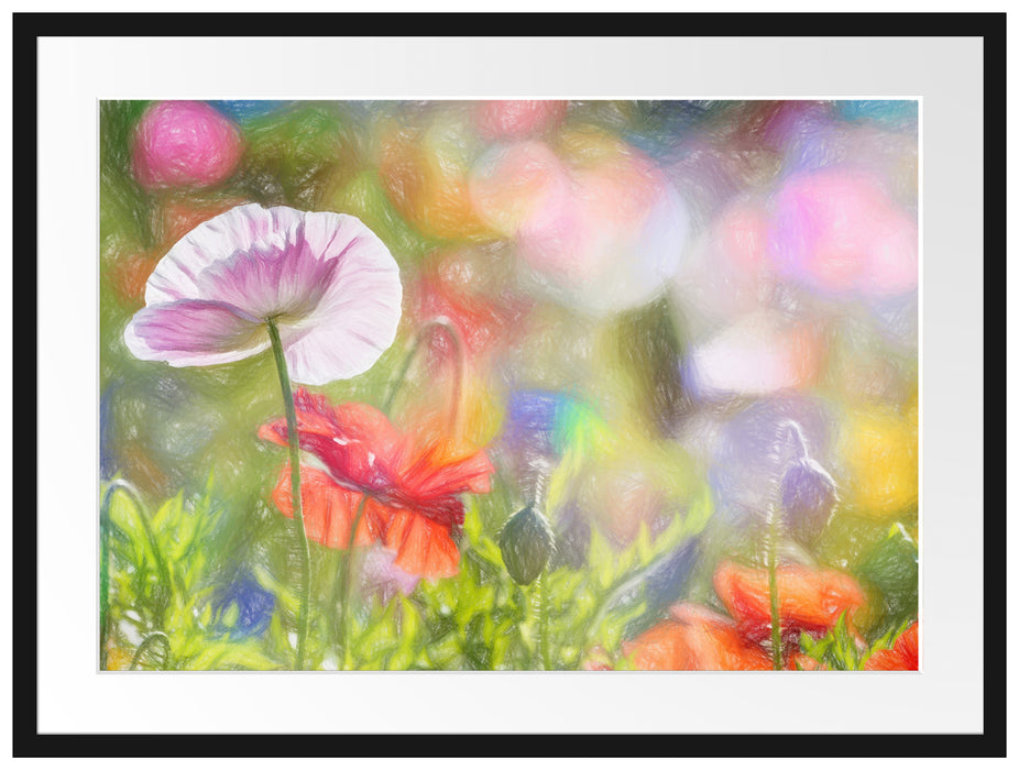 Kalifornischer Mohn im Frühling Passepartout 80x60