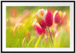 Blühende Tulpen Passepartout 100x70