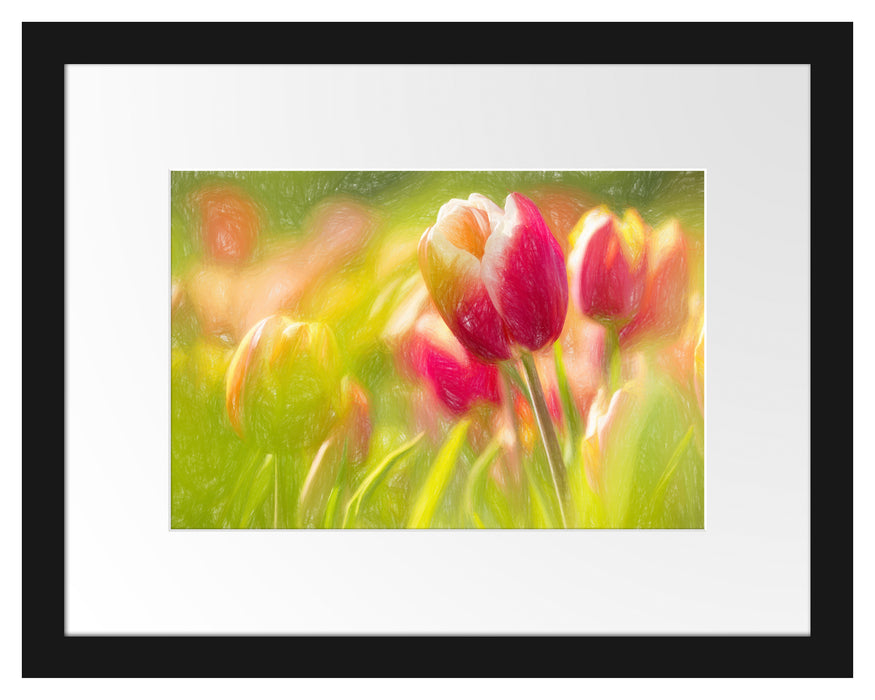 Blühende Tulpen Passepartout 38x30