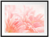 Gerbera-Blume Passepartout 80x60