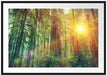 Wald bei Sonnenlicht Passepartout 100x70