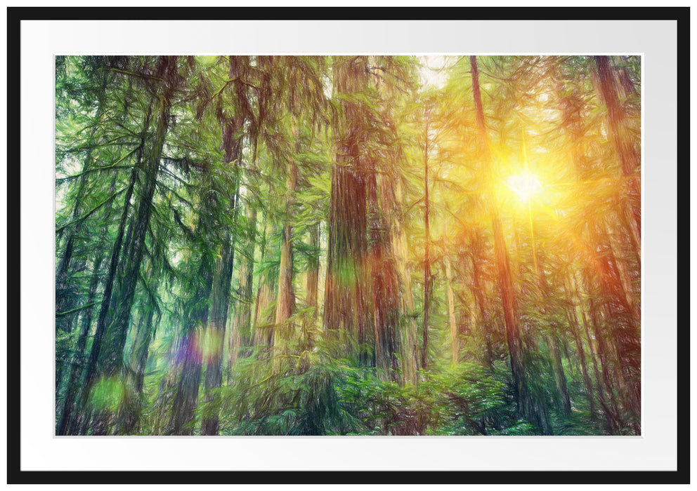 Pixxprint Wald bei Sonnenlicht, im Galerie-Passepartout Bilderrahmen