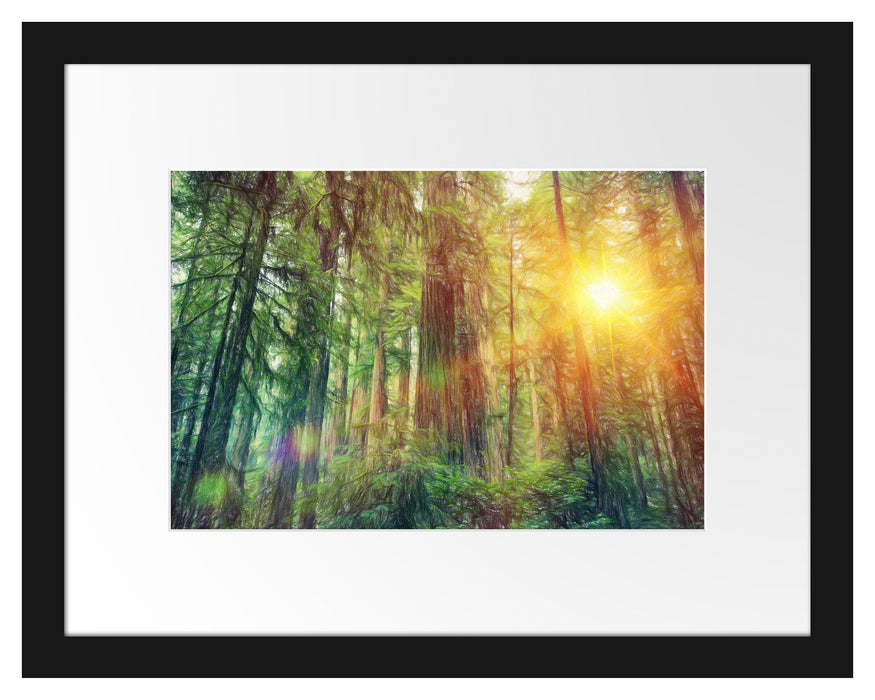 Wald bei Sonnenlicht Passepartout 38x30