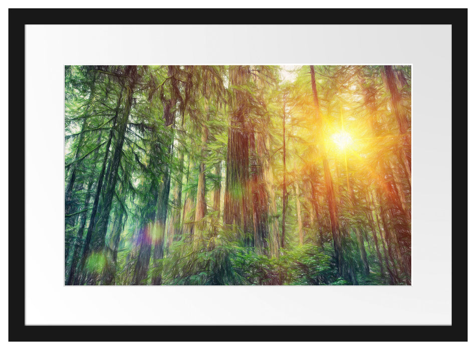 Wald bei Sonnenlicht Passepartout 55x40