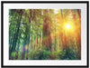 Wald bei Sonnenlicht Passepartout 80x60