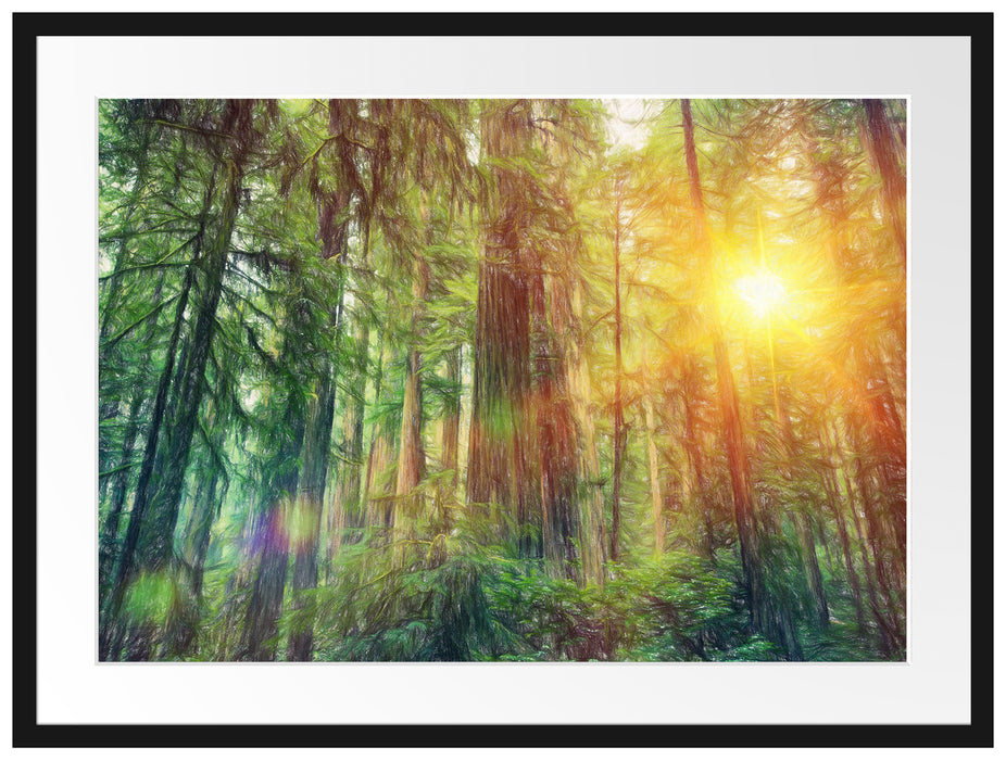 Wald bei Sonnenlicht Passepartout 80x60