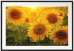 Sonnenblumen auf dem Feld Passepartout 100x70