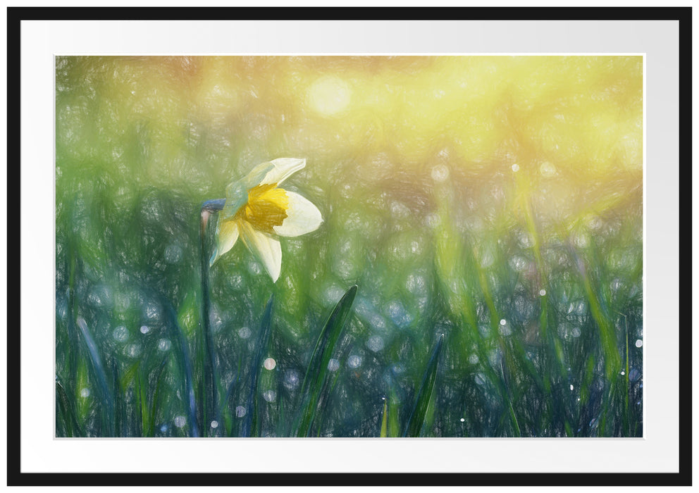 Narzissenblume in der Morgensonne Passepartout 100x70