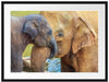 Elefantenmutter mit Kalb Passepartout 80x60