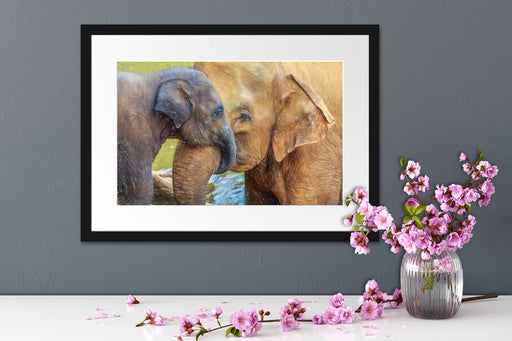 Elefantenmutter mit Kalb Passepartout Wohnzimmer