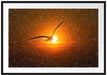 Möwe fliegt in den Sonnenuntergang Passepartout 100x70