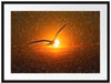 Möwe fliegt in den Sonnenuntergang Passepartout 80x60
