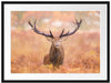Hirsch im Feld Passepartout 80x60