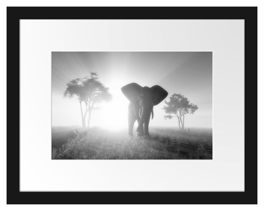 Elefant in der Wüste Passepartout 38x30
