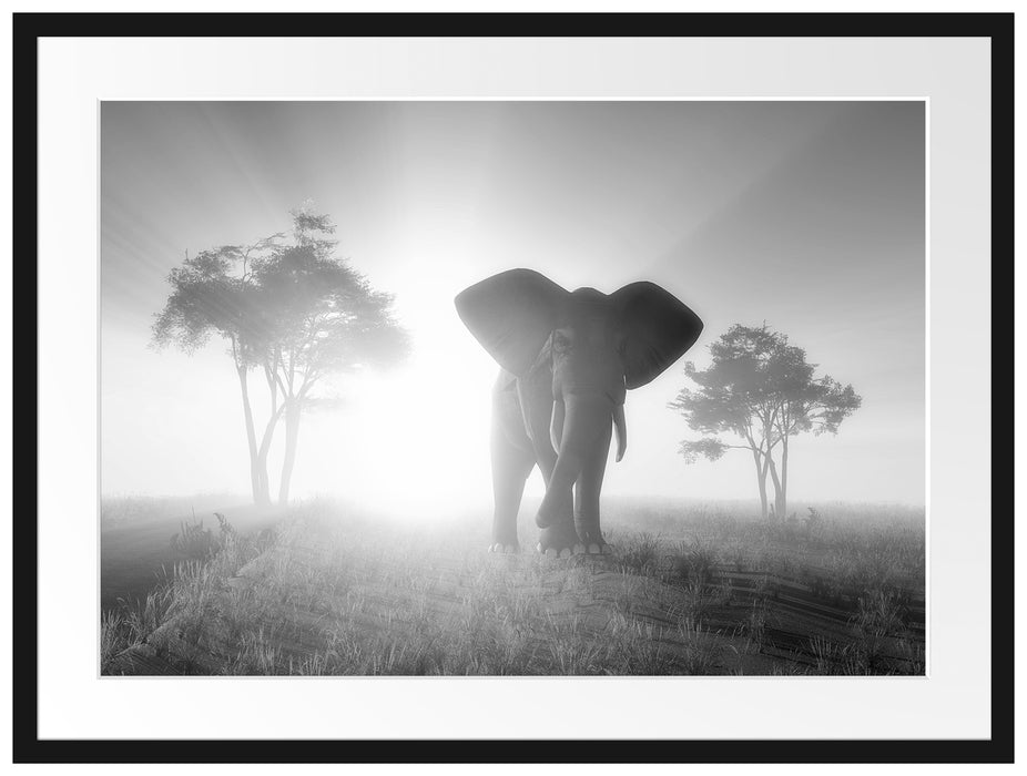 Elefant in der Wüste Passepartout 80x60