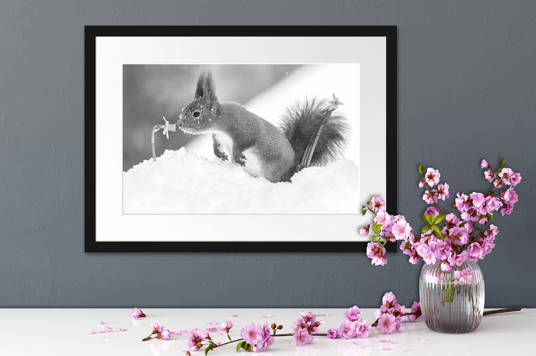 Eichhörnchen im Schnee Kunst B&W Passepartout Wohnzimmer