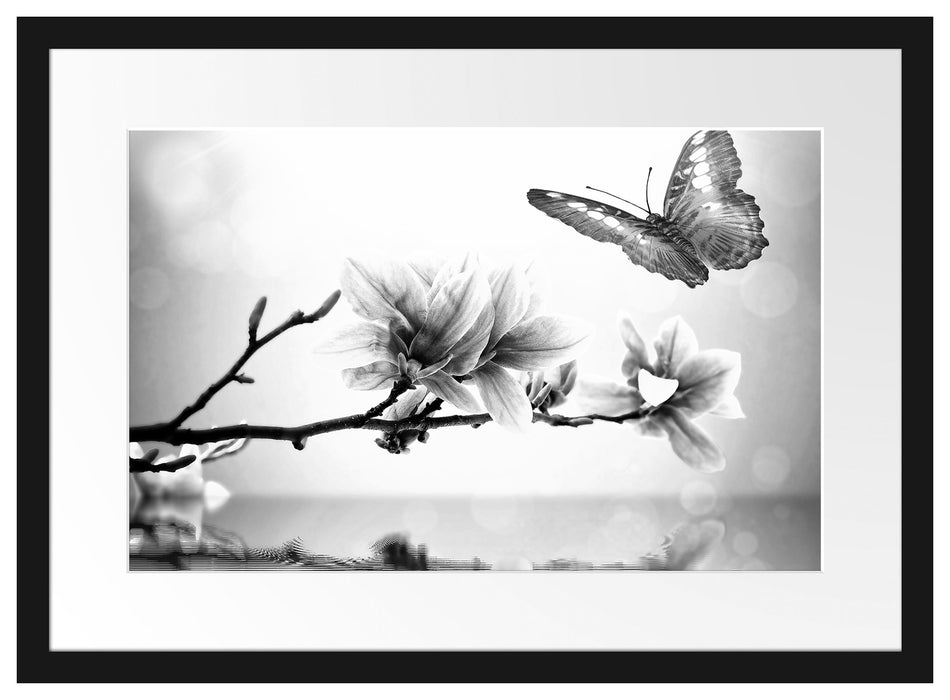 Schmetterling mit Magnolien-Blüte Passepartout 55x40