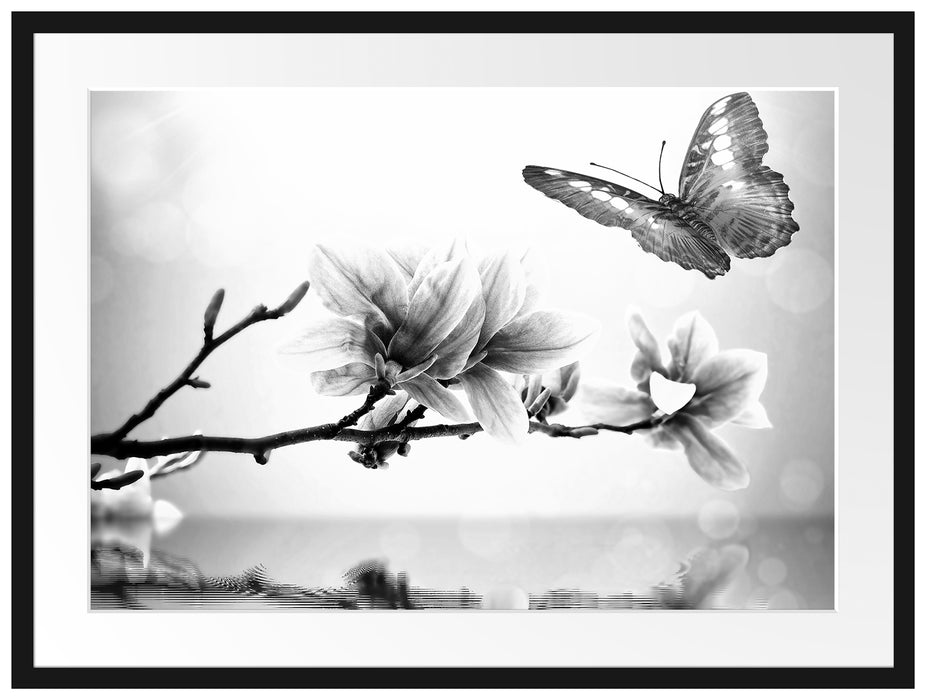 Schmetterling mit Magnolien-Blüte Passepartout 80x60