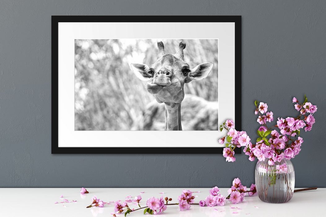 Giraffe in der Natur Kunst B&W Passepartout Wohnzimmer