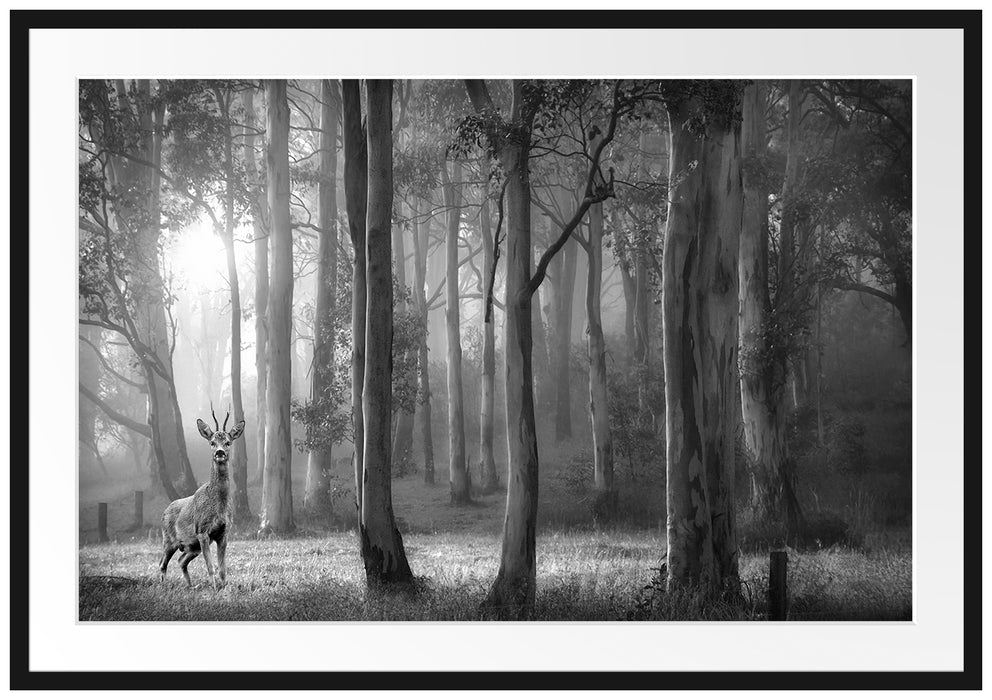 Pixxprint Hirsch im Wald, im Galerie-Passepartout Bilderrahmen