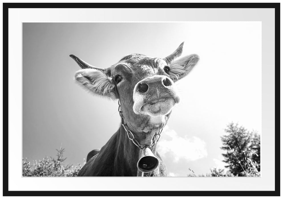 Pixxprint Portrait einer Kuh, im Galerie-Passepartout Bilderrahmen