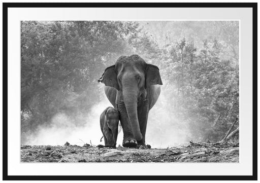 Elefanten Baby Mama Passepartout 100x70