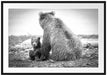 Bär mit Baby nach dem Baden Passepartout 100x70